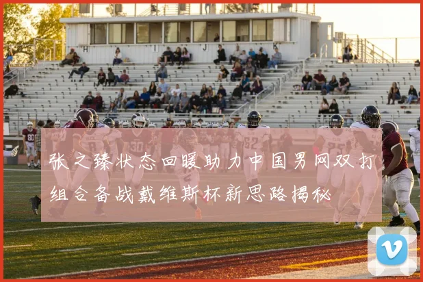 张之臻状态回暖助力中国男网双打组合备战戴维斯杯新思路揭秘